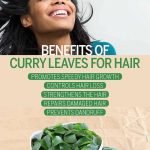 curry-leaves-for-hair-growth-1552995720